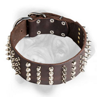 2 Inch Leather Bullmastiff Collar witn Nickel Pyramids and Spikes
