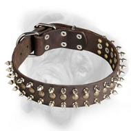 Fantastic Leather Bullmastiff Collar with Spikes and Studs