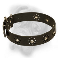 "Elegant Flower" Bullmastiff Collar with Chic Decoration