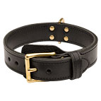 Extra Durable Leather Dog Collar for Comfortable Training of Your Bullmastiff