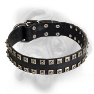 Delicate Caterpillar Leather Bullmastiff Collar for Everyday Activities