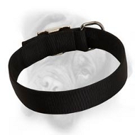 Wide 2 ply Nylon Bullmastiff Collar for Everyday Use