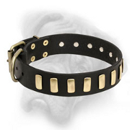 Deluxe Leather Bullmastiff Collar with Riveted Brass Plates
