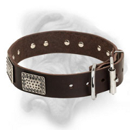 Designer Leather Bullmastiff Collar with Massive Nickel Plates