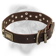 Top Quality Stylish Leather Collar for Bullmastiff Breed