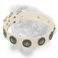 Designer White Leather Bullmastiff Collar with Gorgeous Decoration