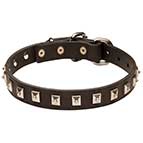 "Caterpillar" Functional Leather Bullmastiff Collar with Nickel Square Dotted Studs