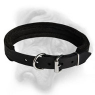Effective agitation training with fully padded leather dog collar for Bullmastiff breed