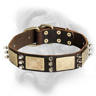 The Best Designer Leather Dog Collar with Massive Plates and Spikes for Bullmastiff breed