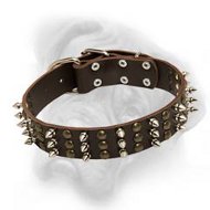 Bullmastiff leather dog collar with impressive columns of studs and spikes