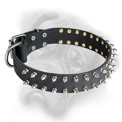 Great Leather Bulmastiff Dog Collar Decoraed With Silver-like Spikes
