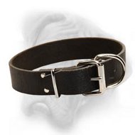 Bullmastiff leather dog collar for amazing results in training and safety in walking