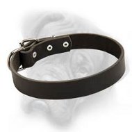 Premium Leather Dog Collar for Bullmastiff