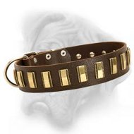 Splendid leather dog collar with polished plates for Bullmastiff