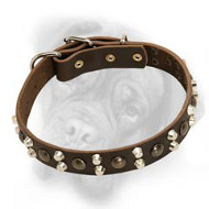 Chic leather dog collar with pyramids and studs for Bullmastiff