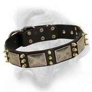 Creative design of leather dog collar with massive plates and spikes for Bullmastiff breed