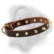 Premium Spiked Leather Dog Collar for Bullmastiff breed