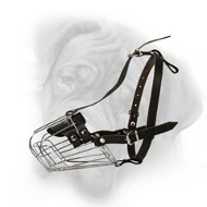 Bullmastiff Wire Basket Dog Muzzle