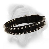 Black Nylon Spiked Dog Collar for Bullmastiff breed