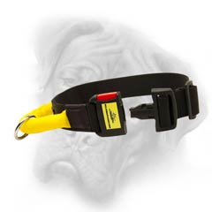 Wear-and-tear resistant nylon dog collar with handle and quick release buckle