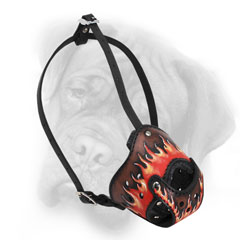 Super stylish fire flames leather dog muzzle
