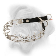 Stainless Steel Bullmastiff Pinch Collar with Click Lock Buckle and Nylon Loop - 1/8 inch (3.2 mm)