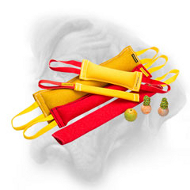 Diversify Bullmastiff Training with This Set of French Linen Bite Tugs and Rubber Balls