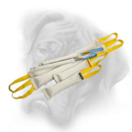 Think of the Future - Get This Set of Fire Hose Bite Tugs for Your Bullmastiff