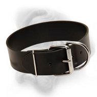 Extra Wide Leather Dog Collar for Bullmastiff breed