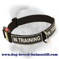 Bullmastiff all-weather training dog collar with id patches