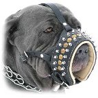Handcrafted Royal Spiked Leather Dog Muzzle