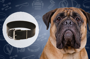 Leather Dog Collar