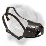Elegant Leather dog muzzle for everyday