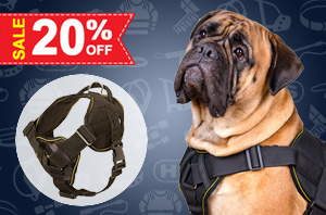 Nylon Dog Harness