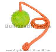 K9 Ball with Rope Dog Toy for Active Bullmastiffs 2 1/3 inch