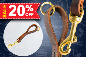 Leather dog leash