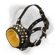 Exquisite decoration of leather dog muzzle