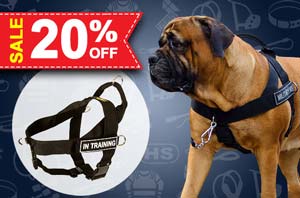 Nylon dog harness