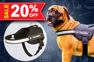 Nylon Dog Harness