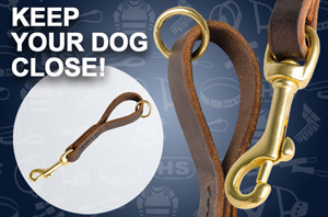 Leather Dog Leashr