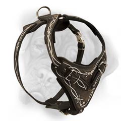 Classy leather dog harness for walks and training