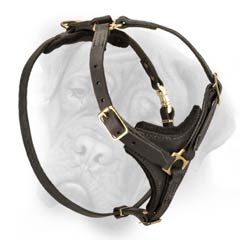 Leather dog harness for tracking and training in style