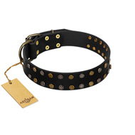 "Star Way" FDT Artisan Black Leather Bullmastiff Collar with Bronze-like and Silver-like Star Studs