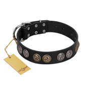 "Mister Exclusive" Designer FDT Artisan Black Leather Bullmastiff Collar with Medallions