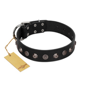 "Black Knight" Handmade FDT Artisan Black Leather Bullmastiff Collar with Silver-Like Studs