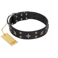 "Star Excitement" Modern FDT Artisan Black Leather Bullmastiff Collar with Studs and Stars