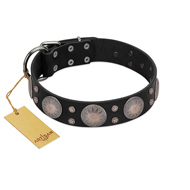 "Starry Sky" Trendy FDT Artisan Black Leather Bullmastiff Collar with Large Brooches