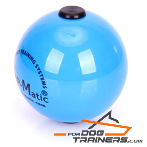 Blue dog ball for Training