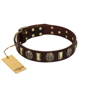 "Skull's Adventure" FDT Artisan Brown Leather Bullmastiff Collar with Plates and Ovals