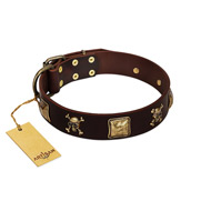 "Crazy Pirate" FDT Artisan Brown Leather Bullmastiff Collar with Old Bronze-Plated Skulls and Plates